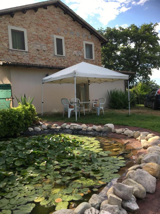 Fiordiloto Apartment Monsampolo Del Tronto Exterior photo